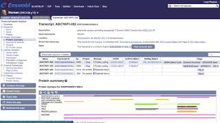 Downloading Protein and Ortholog Fasta files from the ENSEMBL database [upl. by Aeduj]