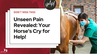 Is Your Horse Suffering Silently Shed Light on Your Horses Hidden Pain [upl. by Laina]