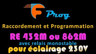 CÂBLAGE ET PROG RE432M et RE862M CAME avec relais monostable pour éclairage 230V [upl. by Anol]