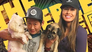 Khalyla and Gobi on The Steebee Weebee Show Doggie Episode Ep 17 [upl. by Errised]