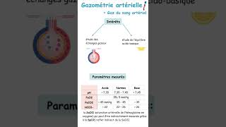 Interprétation De Gazométrie Artérielle Gaz Du Sang ArtérielPneumologie shorts [upl. by Allie931]