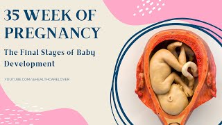 Your baby at 35 weeks  Weekbyweek pregnancy  MadeForMums [upl. by Althee]