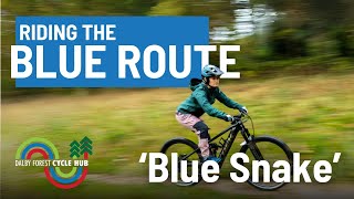 Mountain Biking In Dalby Forest Blue Route  Blue Snake [upl. by Lavicrep]