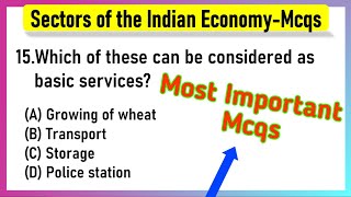 Sectors of Indian Economy Class 10 MCQs Questions with Answers [upl. by Dyane]