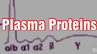 Plasma Proteins Biochemistry Albumin Globulins  Fibrinogen [upl. by Tavy]