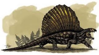 Dimetrodon  Enciclopedia sobre Dinosaurios [upl. by Charteris]