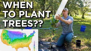 Optimal Tree Planting Time Based on Hardiness Zones [upl. by Ahseik111]