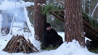 Overnight in the Winter Woods Building a Primitive Survival Shelter Meat on Fire [upl. by Tor]