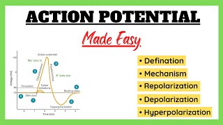 Action Potential Depolarization Repolarization Refractory Period Physiology Made Easy [upl. by Benetta]