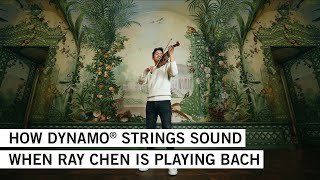 RAY CHEN performs Bachs Violin Partita no 3 in E major BMV 1006 III on DYNAMO® strings [upl. by Harms]