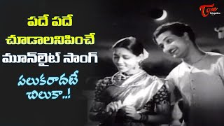 NTR and Janaki Moonlight Song  Palukaradate Chiluka Song  Shavukaru Movie  Old Telugu Songs [upl. by Gilbye]