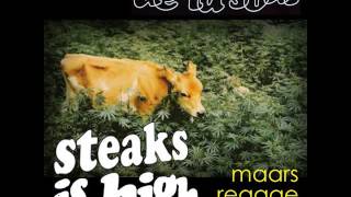 De La Soul Stakes Is High Maars Reggae ReFix [upl. by Gamin]