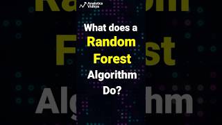 What does a Random Forest Algorithm do  Random Forest explained  Must watch [upl. by Ahsonek]