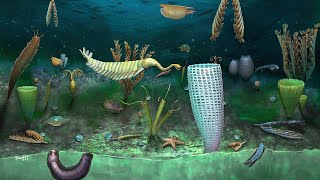 What Was Life Like During The Cambrian Period  Part 2 [upl. by Foss]