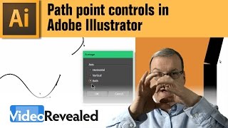 Path Point Controls in Adobe Illustrator [upl. by Eseela28]