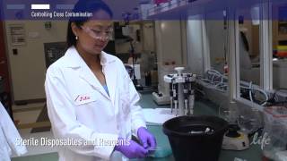 How to Control Contamination in PCR lab [upl. by Panta]