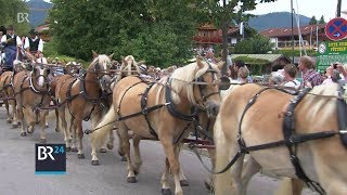 Rosstag in Rottach  Pferde Kutschen und Gespanne am Tegernsee  BR24 [upl. by Edwine401]