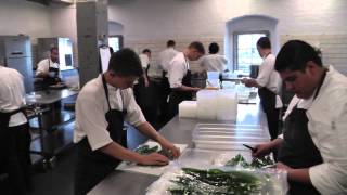 Behind the scenes at Noma in Copenhagen [upl. by Silverts]