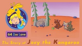 64 Zoo Lane  Joey the Kangaroo S01E03 HD  Cartoon for kids [upl. by Hakilam413]