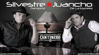 Silvestre Dangond  Mi Propia Historia Cantinero  Vallenato 2010 [upl. by Wester]