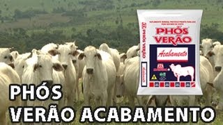 Phós Verão Acabamento Rubens Fioramonte [upl. by Sarina]