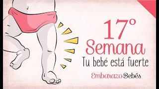 SEMANA 17 de Embarazo  4º Mes  Semana a semana [upl. by Sapowith]