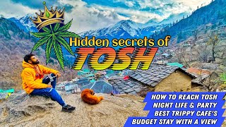 TOSH VILLAGE Himachal Pradesh  How to Reach Tosh  Nightlife Food Stay  Budget Tour toshvillage [upl. by Stauder226]