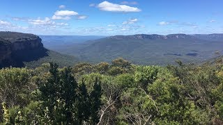 Blue Mountains Alphorn Quartett [upl. by Sivra]