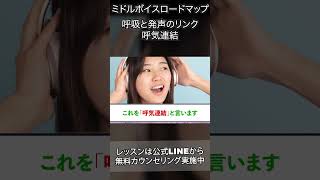 【高音ボイトレ決定版⑧】「喉で声を出して苦しい」を根本改善する方法 ボイストレーナーミックスボイス ミドルボイスボイストレーニング [upl. by Ecnahs292]