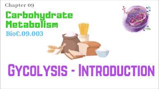 BioC09003Glycolysis 110 – Introduction  Dr Prashant Sharma [upl. by Enyamrahc]