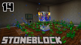 INFERIUM ESSENCE FARM  STONEBLOCK  14 [upl. by Ardnuhsor]