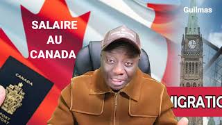 Travailler au Canada Survive avec Le Salaire MinimumLogementProvince [upl. by Remmer]