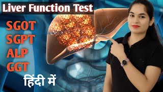 Liver function test in Hindi LFT Test  SGOT  SGPT  ALP  GGT  LFT Normal range  Biochemistry [upl. by Onibla]