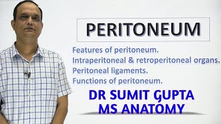 PERITONEUM Part 1 [upl. by Eilla]