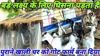 कम खर्च में Goat Farm Shed तैयार  Black Bengal Goat Farming  Black Bengal Cross Breed Goat Farm [upl. by Bengt]