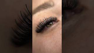 Aqua tinsel lashes lashedbyshayla lashextensions tinsellashes volumelashes parislashacademy [upl. by Hildegarde]