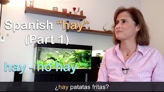 Spanish quotHABERquot ➤ hay no hay  Parte 1 [upl. by Bunce610]