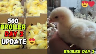 500 broiler farming 🐥❤️🐣  broiler farming at home  Day 3 update 🐥❤️🐣 [upl. by Siramed]