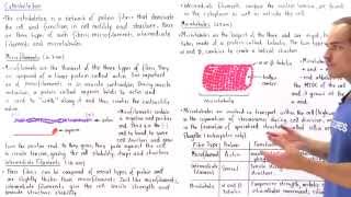 Microfilaments Intermediate Filaments and Microtubules [upl. by Brenner937]