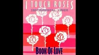 Book Of Love  I Touch Roses Instrumental Cover [upl. by Donielle424]