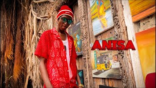 Haanoo Cadee  Anisa Official Music Video [upl. by Darrick903]