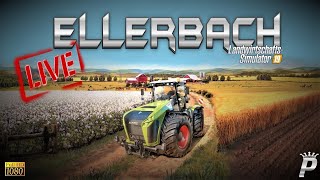 ✅LS19⭐️ELLERBACH⭐️PADDY´s FARM⭐️PS4 LIVE🔴576 [upl. by Rech]