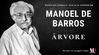 Árvore  Poema de Manoel De Barros com narração de Mundo Dos Poemas [upl. by Fraya]