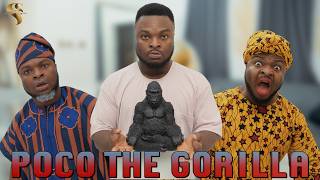 AFRICAN HOME POCO THE GORILLA [upl. by Eseryt]