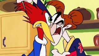 Woody Woodpecker  Crouching Meany Hidden Woodpecker  Full Episode  Kids Movies [upl. by Fortunia622]