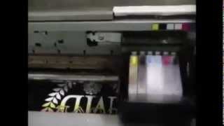 Imprimanta pentru tricouri  Printer de textile SL2300TX cu cerneala alba [upl. by Minne]