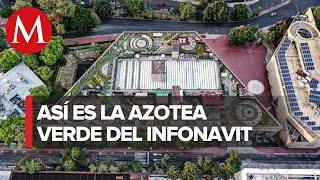 México cuenta con dos de las azoteas verdes más grandes de Latinoamérica [upl. by Atiruam]