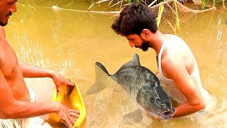 Professional Fish Hunting amp Catching  Fishing Video  Rohu Fish Hunting  River Fish Hunting [upl. by Gigi547]