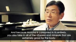 Unicity Matcha The Science of Unicity Matcha [upl. by Arehsat]