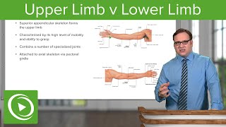 Upper Limb amp Lower Limb – Anatomy  Lecturio [upl. by Rene]